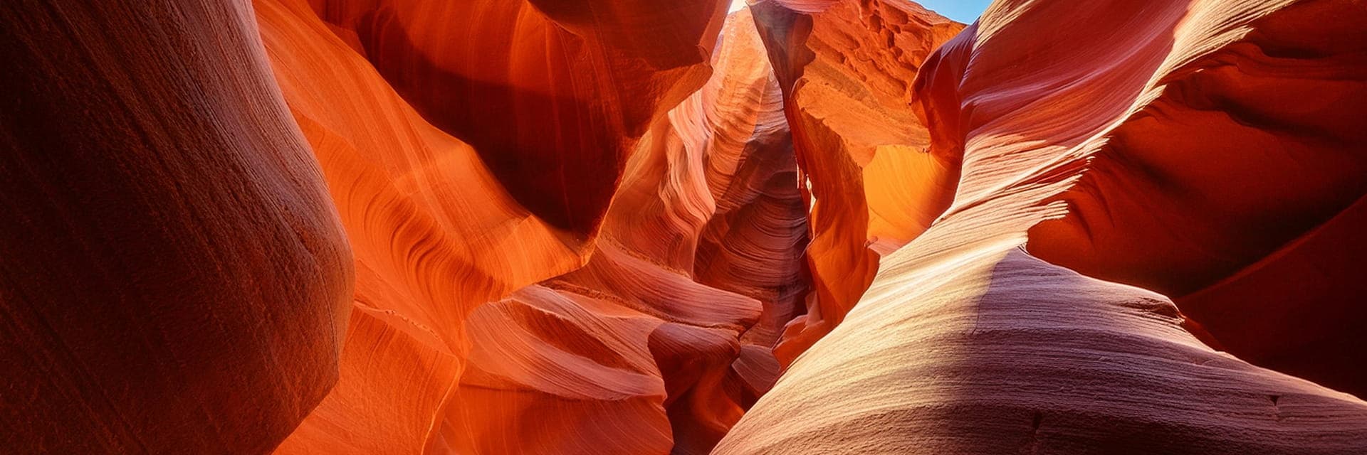 Banner Content Background