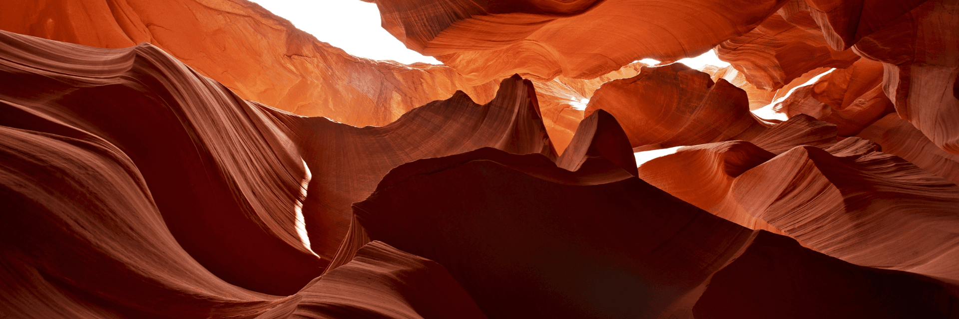 Banner Content Background